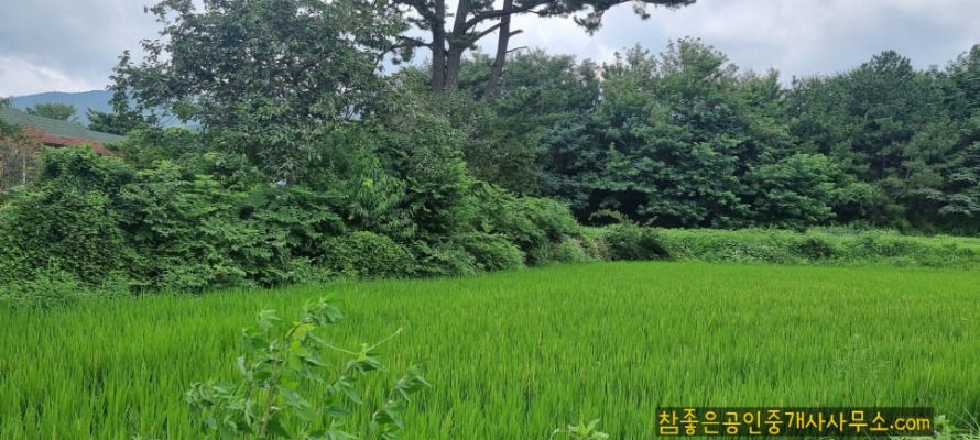 SE-4de0e7d9-5157-4ef8-be1c-ae7add1d79cd.jpg